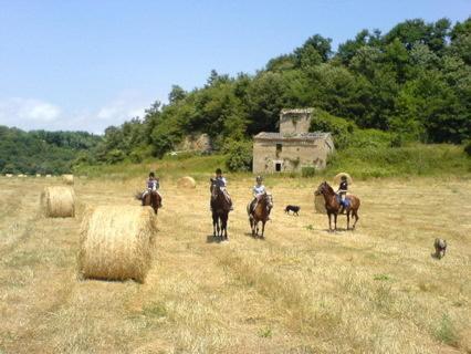 Alloggio per agriturismo Castello Santa Cristina *