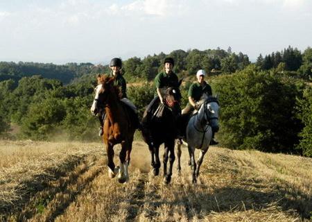 Castello Santa Cristina Farm stay Grotte di Castro